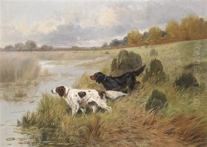 Vorstehhunde In Einer Weiten Landschaft