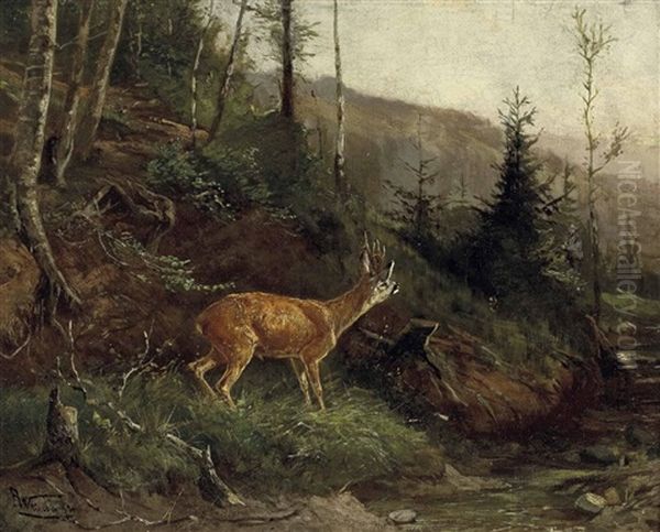Rehbock Und Jager Im Hochwald - view 1