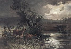 Abendliche Teichlandschaft Mit Rotwild Und Auffliegender Wildente