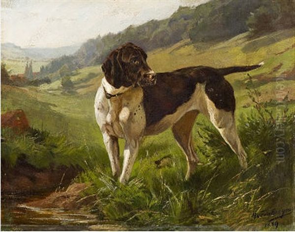 Jagdhund - view 1