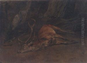 Rothirsch Auf Der Strecke