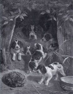 Junghunde Vor Der Hundehutte Verbellen Einen Igel by Anton Weinberger
