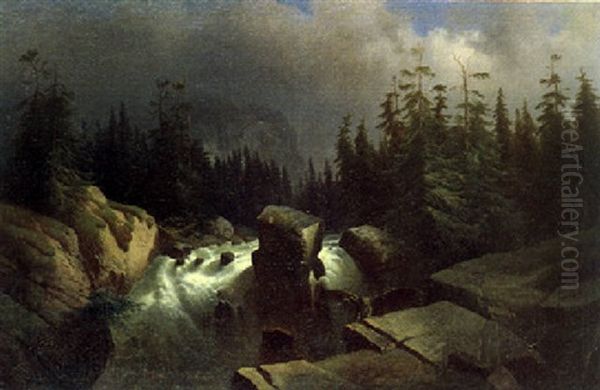 Paesaggio Boscoso Con Torrente - view 1
