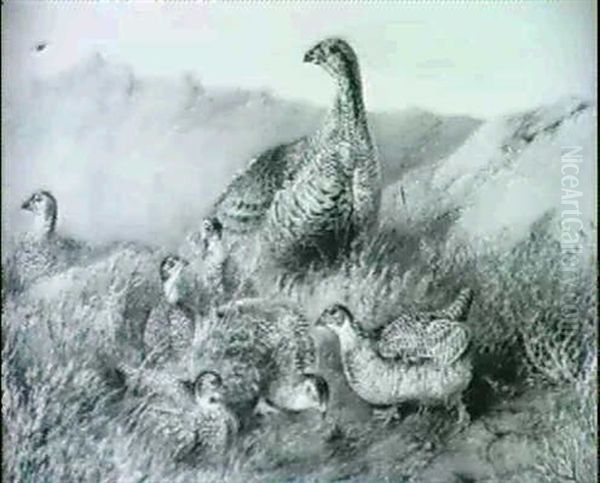 Grouse On A Moorland & A Companion Of A Pointer And Setter - view 1