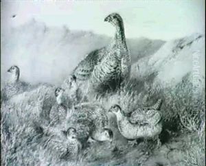 Grouse On A Moorland & A Companion Of A Pointer And Setter by Harrison William Weir