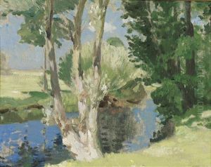 Sonniges Bachufer Mit Weiden