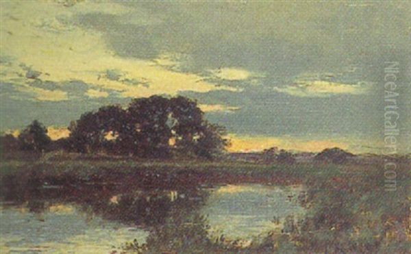 Abendliche Moorlandschaft - view 1