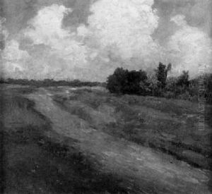 Weite Wiesenlandschaft An Einem Sommertag
