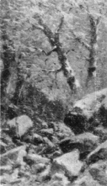 Rocky Stream Bed In The White Mountains - view 1