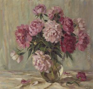 Pfingsrosen Rot Und Rose Pfingsrosen Rot Und Rose