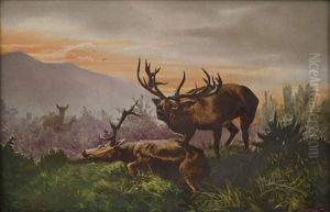Cerf Agonisant by Emile Georges (Geo) Weiss
