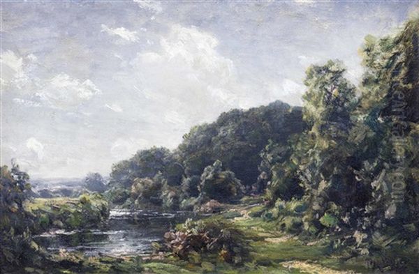 Sommerpark An Bewaldetem Fluss - view 1