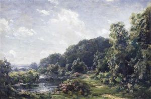 Sommerpark An Bewaldetem Fluss by Jose Weiss