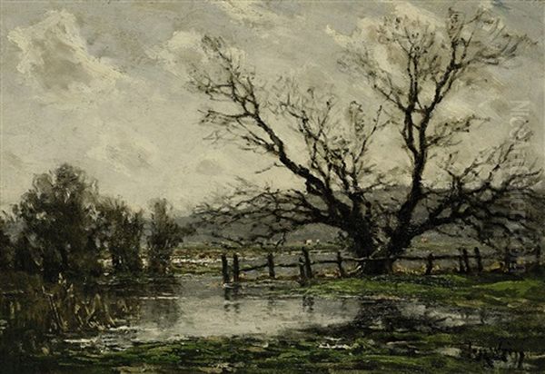 Auenlandschaft Im Vorfruhling - view 1