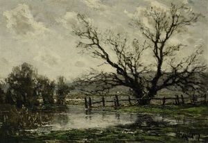 Auenlandschaft Im Vorfruhling by Jose Weiss