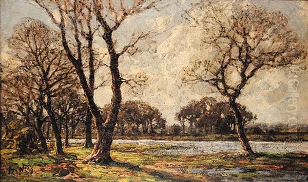 Untitled - Trees In Springtime - view 1