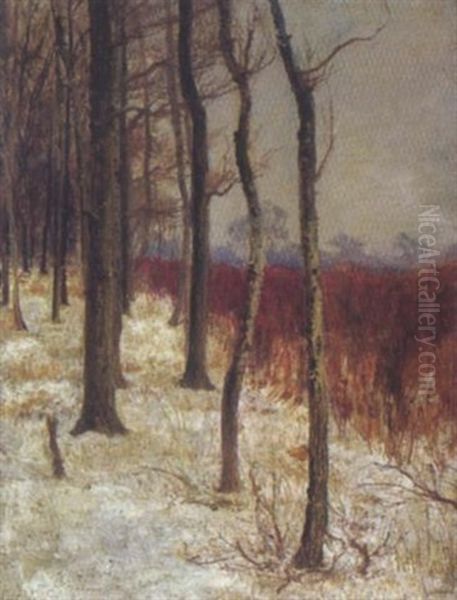 Waldlandschaft Im Winter - view 1