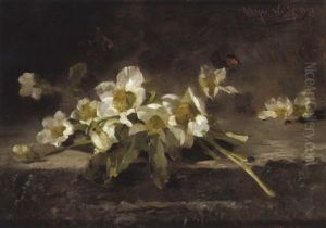 Weise Anemonen by Olga Weiss