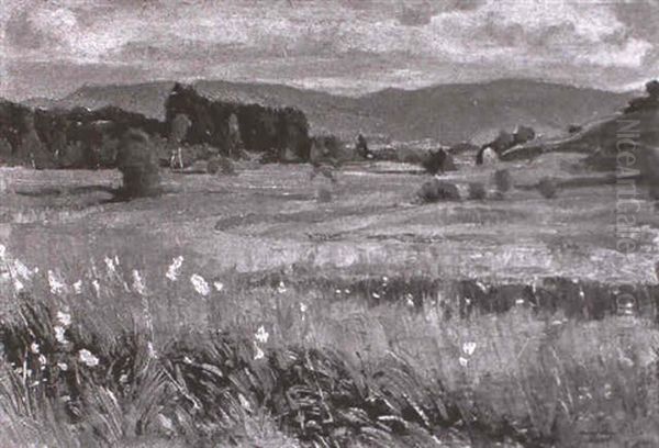 Sommerlandschaft - view 1