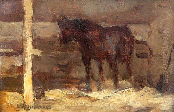 Paard In De Stal / Horse In A Stable - view 1