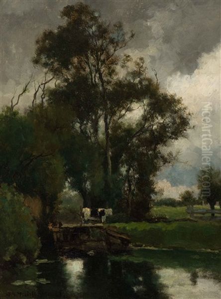 Dutch Polder Landscape With A Cow By The Water - view 1