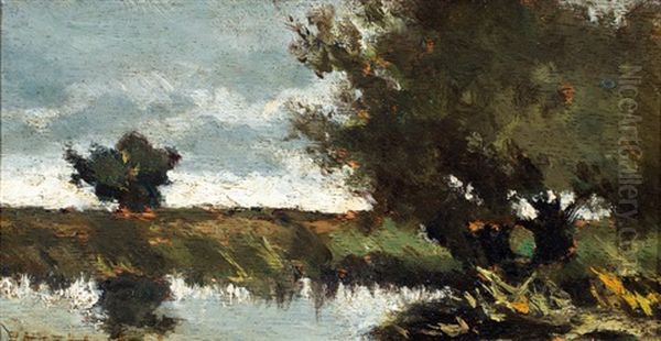 Wilgen Aan Een Plas - view 1