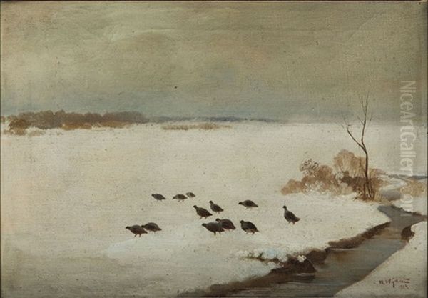 Partridge - view 1