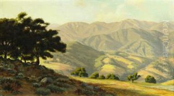 Sunshine On The Bolinas Foothills - view 1