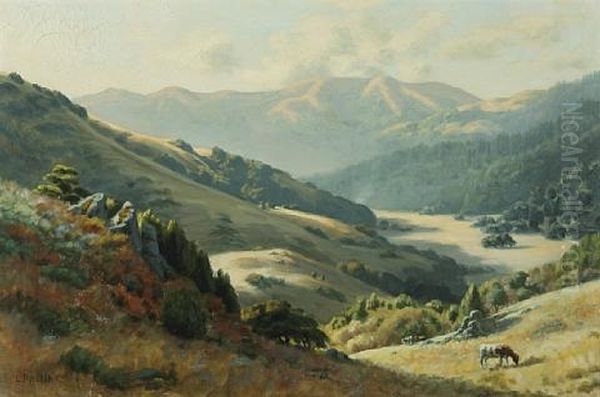 Pastoral Splendor, Cattle Along A Marin Hillside - view 1