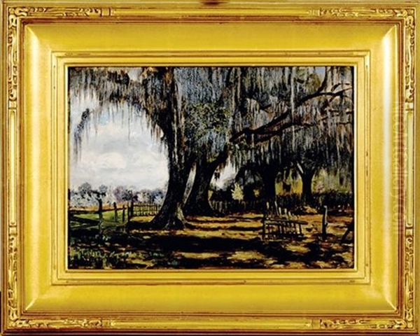 Oaks With Moss - view 1