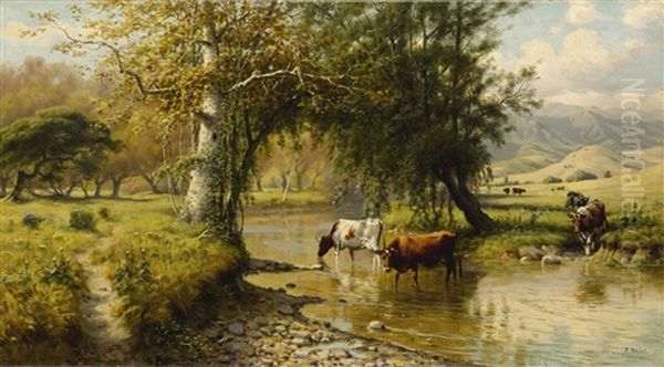 Cattle Watering Under An Oak Tree - view 1