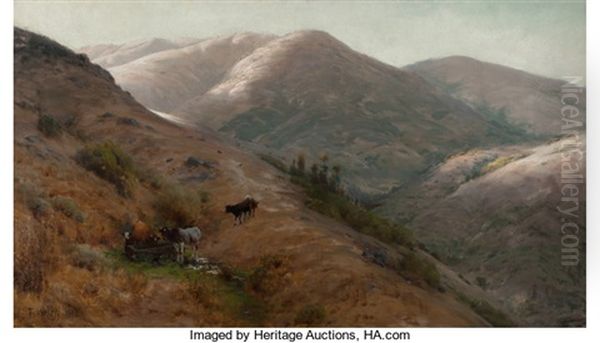Grazing, Marin County - view 1