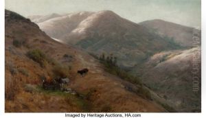 Grazing, Marin County by Thaddeus Welch