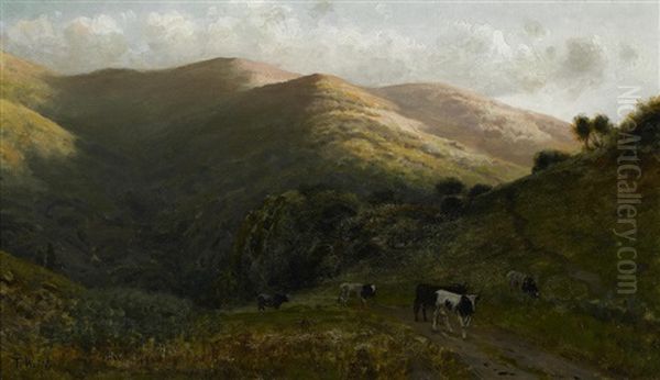 A View With Cows On A Path - view 1