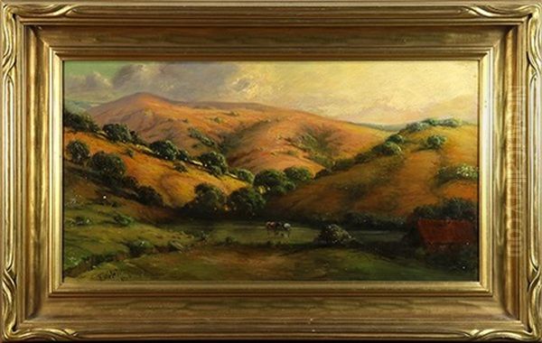 Cows In Pond, California Hills - view 1