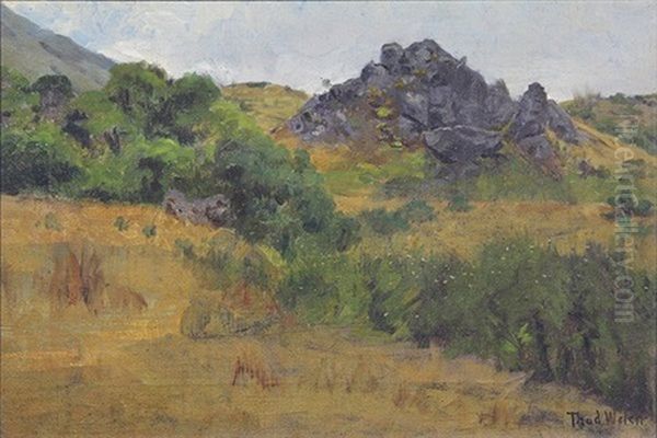 California Hills - view 1