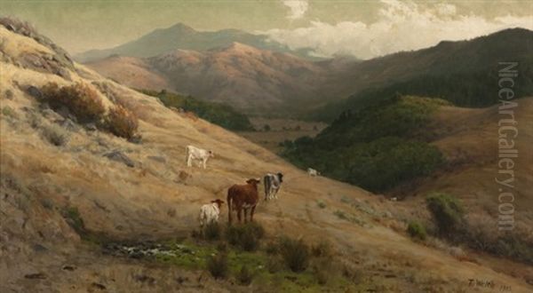 Cows In A California Pasture - view 1
