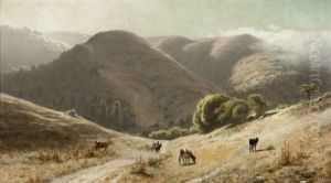 Cows Grazing