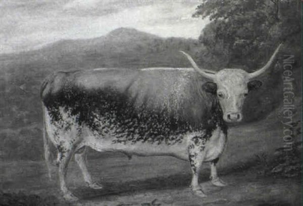 A Liver And White Longhorn Bull In A Landscape - view 1