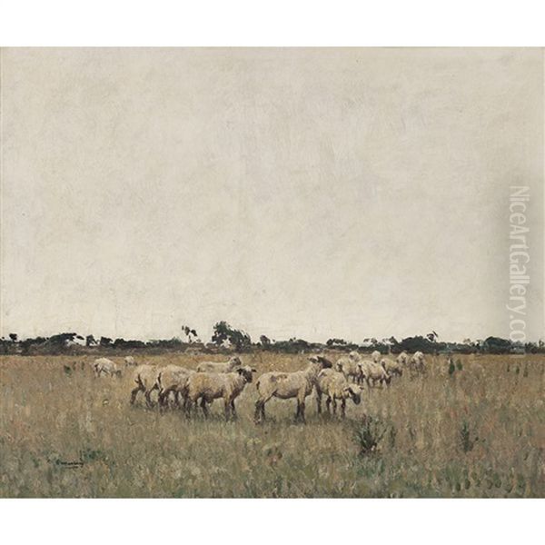 Sheep Grazing - view 1