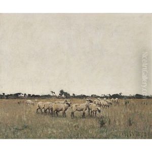 Sheep Grazing Sheep Grazing