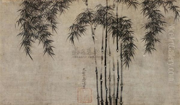 Bamboo - view 1