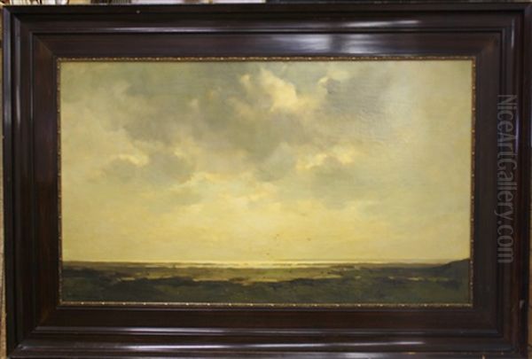 Lanschap Op Texel - view 1