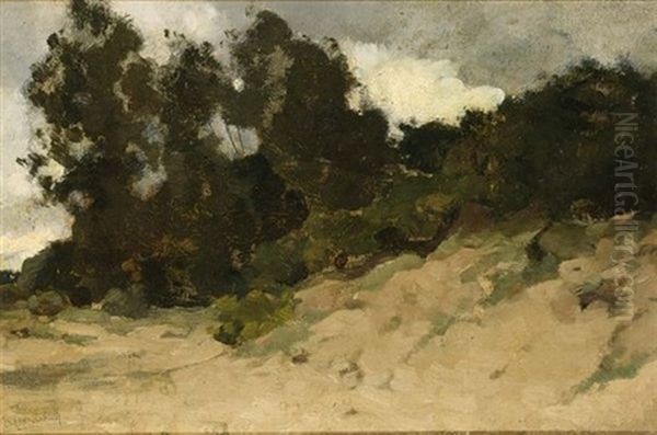 A Landscape - view 1