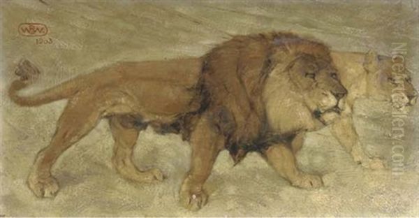 King Of The Jungle - view 1