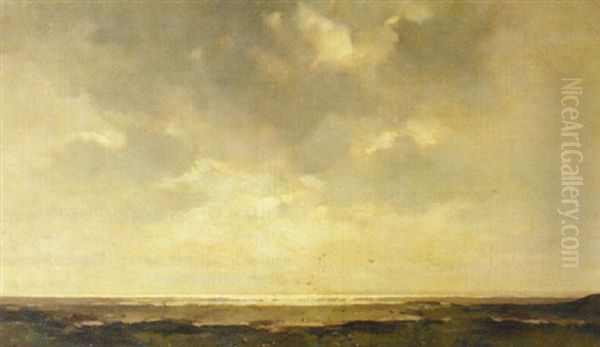 De Schorren, Texel - view 1