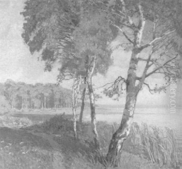 Markisches Seeufer In Der Abendsonne - view 1