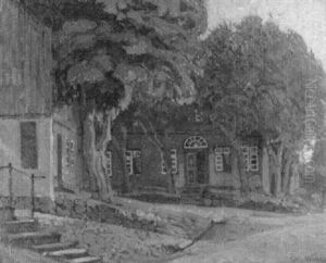 Lindenbestandener Platz In Der Sommersonne