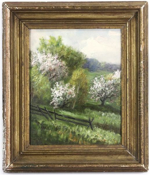 Apple Blossom Ipswich - view 1