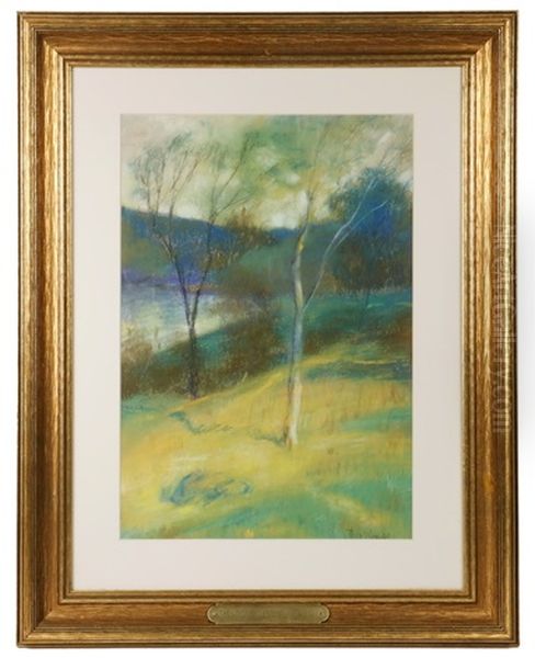 Birch Trees - view 1